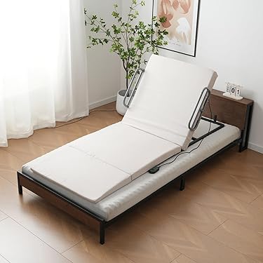 Amazon.co.jp 最新リリース: ベッドパッド・敷きパッド の新着